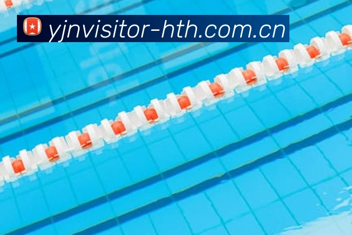 登录器